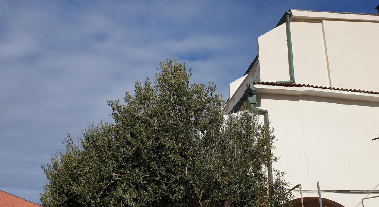 Bellavista bed&breakfast Pag Town Esterno foto
